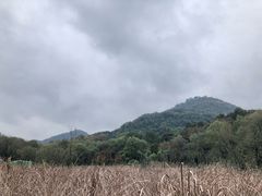 -西湖风景区-江洋畈生态公园