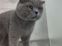 -天津前进宠物医院(前进道店)