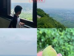 -杭州半山国家森林公园