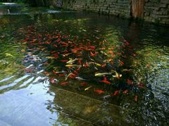 -水磨沟公园