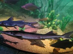 -沈阳海洋探索中心