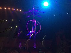 -珠海横琴长隆《卡卡虎奇遇记》