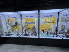 -吉林省自然博物馆