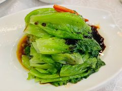 白灼有机生菜-老廣新意-全天茶点(宝能店)