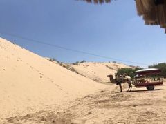 -黄沙古渡原生态旅游区