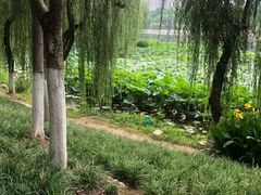 -后襄河公园