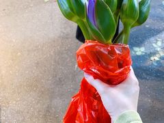 -循礼门鲜花花市(武汉循礼门店)