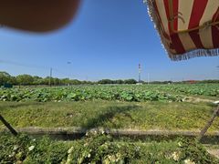-嘉北郊野公园