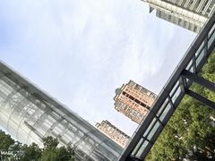 -合点寿司(金虹桥商场店)