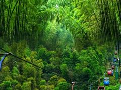 -蜀南竹海景区