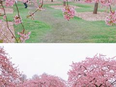 -上海辰山植物园