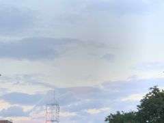 -管氏翅吧(护国寺店)