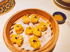 -点都德·毕德寮