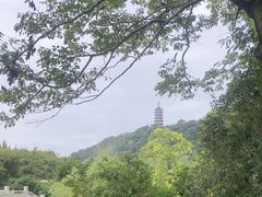 -焦山风景区