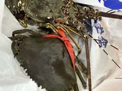 -板桥海鲜广场(文明东店)