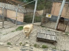 -大青山野生动物园