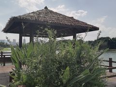 -三垟湿地