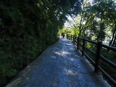 -少华山国家森林公园
