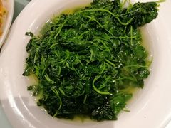 -丰收日(五角场店)