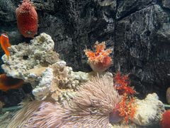 -太平洋海底世界博览馆·展览厅