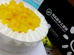 -维尔纳斯·生日蛋糕·动物奶油冰淇淋蛋糕(六里桥店)