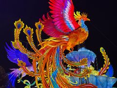 -厦门园林博览苑