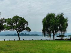 -杭州西湖柳莺里酒店·闻莺厅