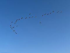 -野鸭湖国家湿地公园