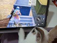 -嘉馨宠物医院·CT影像转诊·心脏科·犬猫全科诊疗中心(下沙大学城院区)