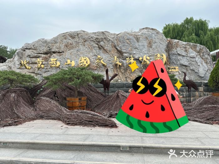 北京西山国家森林公园图片