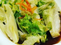 白灼罗马生菜-金春禧(北国商城店)