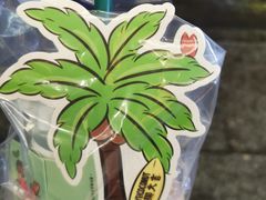 -椰椰大吉(侨港店)