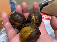 -大起水产回转寿司(道顿堀店)
