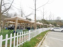 -龙寺生态园