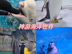 -威海华夏城景区