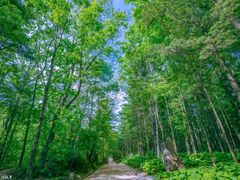 -洛阳白云山景区