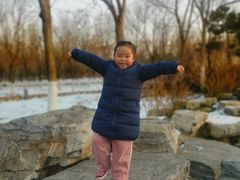 -大兴滨河森林公园