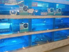 水产区-真亦味鲜货火锅(长江路店)