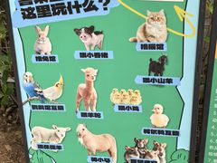 -三亚海棠湾喜来登度假酒店