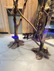 点击看大图 -未来动物城动物主题公园(大悦城店)