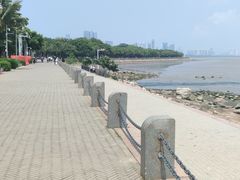 -深圳湾公园(南山区)