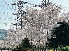 -外高桥保税区南(地铁站)