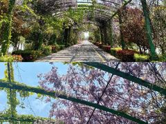 -泗洪洪泽湖湿地景区