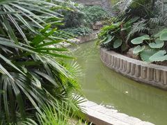 android_upload_pic-龙达温泉生态城