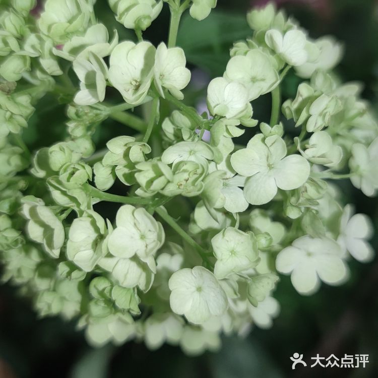 每个月的最后1小时