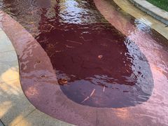 -咸宁万豪温泉谷度假区