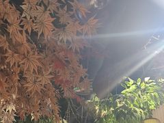 -城墙拐拐火锅(三峡广场黑金冠店)