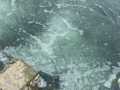 -贵阳市花溪国家城市湿地公园