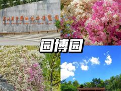 -深圳国际园林花卉博览园