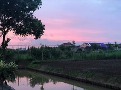 -上海怡沁园度假酒店